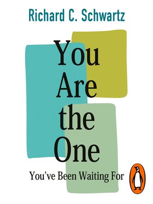 cover image of You Are the One You've Been Waiting For